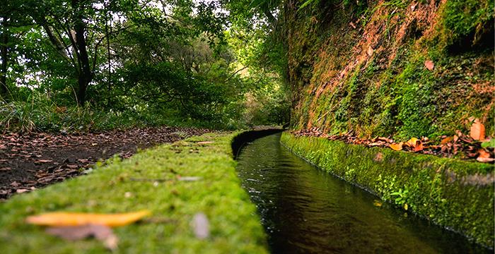 The Madeiran Water Channels