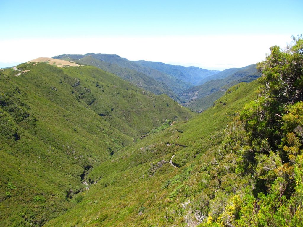 Die Madeira-Wasserkanäle